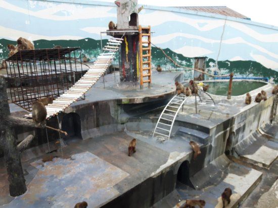 Hakodate Tropical Botanical Garden